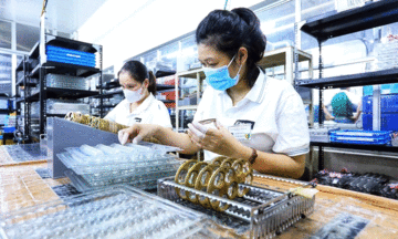 Khát vọng Việt 'dẫn lối' tăng trưởng GDP