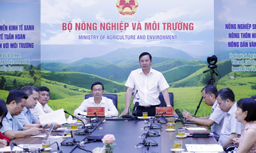 Tập huấn về phân quyền, phân cấp trong lĩnh vực trồng trọt, bảo vệ thực vật