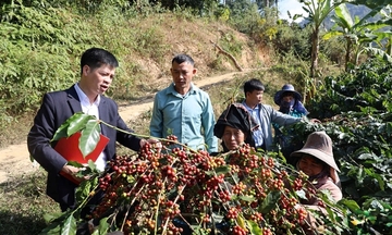 Đào tạo nghề: Lối mở phát triển bền vững vùng đồng bào dân tộc thiểu số Sơn La