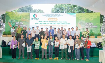 Trồng đàn hương: Cơ hội thoát nghèo của bà con biên giới Gia Lai