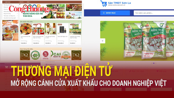 Thương mại điện tử mở rộng cánh cửa xuất khẩu cho doanh nghiệp Việt