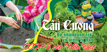 Longform | Tân Cương: “Đệ nhất danh trà” và niềm tự hào OCOP 5 sao Hảo Đạt