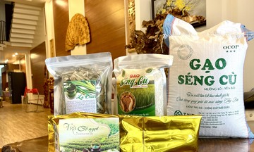Xây dựng thương hiệu gạo Séng Cù Mường Lò: Nâng tầm đặc sản Tây Bắc