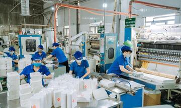 Đổi mới công nghệ, thúc đẩy ngành giấy phát triển bền vững