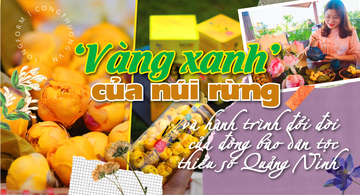 Longform | ‘Vàng xanh’ của núi rừng và hành trình đổi đời của đồng bào dân tộc thiểu số Quảng Ninh