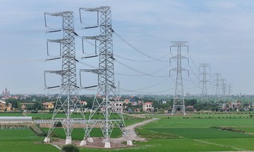 95 năm ngành Tuyên giáo và Dân vận: Lịch sử vẻ vang, nhiệm vụ vinh quang