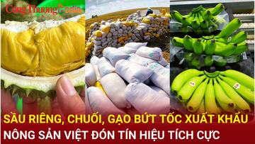 Sầu riêng, chuối, gạo bứt tốc xuất khẩu: Nông sản Việt đón tín hiệu tích cực
