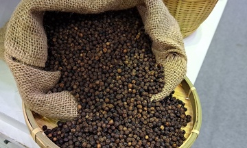 Ngăn lừa đảo thương mại quốc tế: Chuyên gia hiến kế gì?