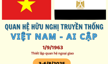 Infographic | Ai Cập là thị trường tiềm năng của Việt Nam tại châu Phi