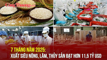 7 tháng năm 2025: Xuất siêu nông, lâm, thủy sản đạt hơn 11,5 tỷ USD