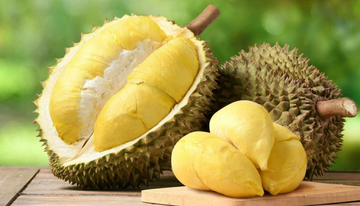 Chuẩn hóa kiểm soát an toàn thực phẩm cho sầu riêng tươi xuất khẩu