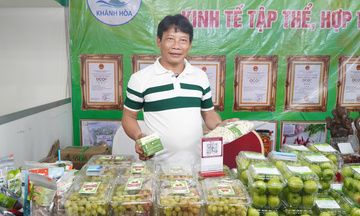 Muốn OCOP vươn xa, phải giữ thương hiệu đến cùng
