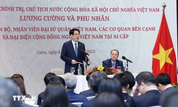 Chủ tịch nước: Kiều bào là cầu nối gắn kết tình hữu nghị Việt Nam - Ai Cập