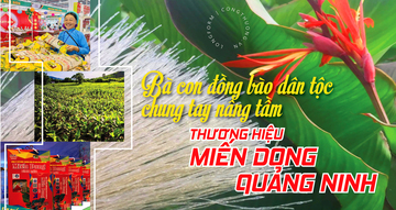 Longform | Bà con đồng bào dân tộc chung tay nâng tầm thương hiệu miến dong Quảng Ninh