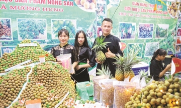 Dứa, mắc ca Sơn La: Nhãn hiệu chứng nhận giúp khẳng định thương hiệu sản phẩm