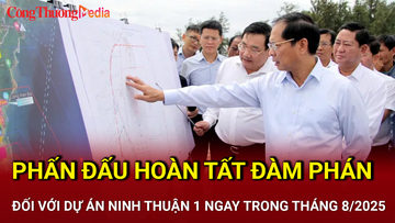 Phấn đấu hoàn tất đàm phán đối với dự án Ninh Thuận 1 ngay trong tháng 8/2025