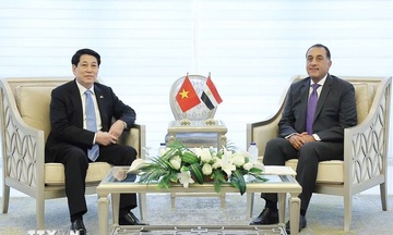 Thủ tướng Ai Cập đề xuất thành lập Hội đồng kinh doanh Việt Nam - Arab