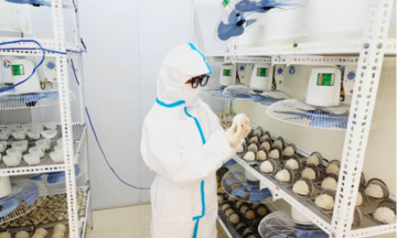 Người dân Gia Lai giảm nghèo từ mô hình nuôi yến