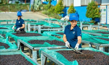 Gia Lai: Mở rộng 'cánh cửa' xuất khẩu nông sản địa phương