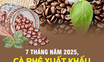 Infographic | 7 tháng năm 2025, cà phê xuất khẩu cao kỷ lục