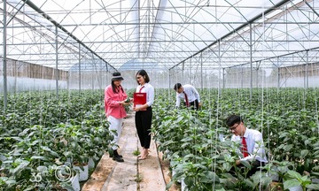 Agribank gieo dòng vốn xanh, mở lối tăng trưởng bền vững