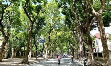 Thời tiết hôm nay 8/8/2025: Hà Nội ngày nắng nóng, đêm có mưa rào và dông