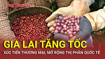 Gia Lai tăng tốc xúc tiến thương mại, mở rộng thị phần quốc tế