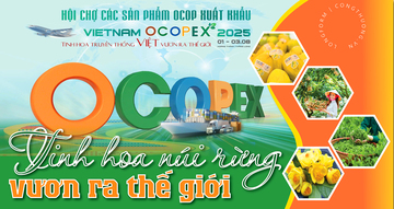 Longform | Tinh hoa núi rừng vươn ra thế giới