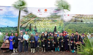 Bộ Nông nghiệp và Môi trường ra quân trồng 20.000 cây xanh