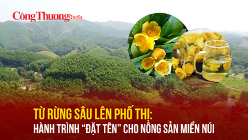 Từ rừng sâu lên phố thị: Hành trình “đặt tên” cho nông sản miền núi