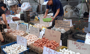 Giá trứng tăng 20 – 30% nhưng tiềm ẩn nguy cơ giảm sốc