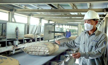 Đòn bẩy kép thúc đẩy thị trường vật liệu xây dựng