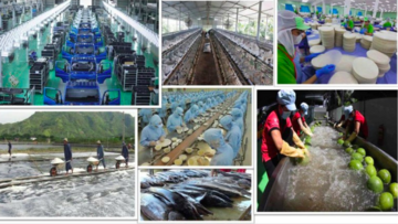 Cải cách chính sách thuế: Lực đẩy cho kinh tế tư nhân phát triển