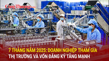 7 tháng năm 2025: Doanh nghiệp tham gia thị trường và vốn đăng ký tăng mạnh