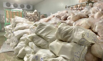 Gia Lai: Tiêu huỷ 100 tấn heo không rõ nguồn gốc, trị giá 18,3 tỷ đồng