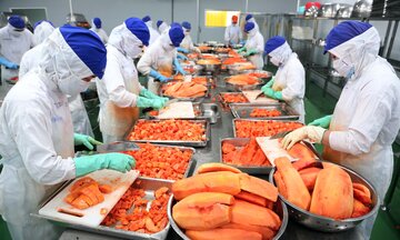 Đề xuất xây trung tâm chuyển giao công nghệ thực phẩm