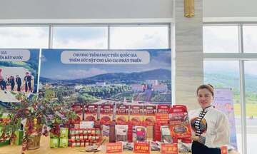 Sản phẩm núi rừng tạo sinh kế bền vững cho đồng bào vùng cao