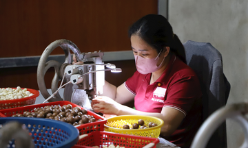 Nâng giá trị quả mắc ca, tăng thu nhập cho bà con dân tộc thiểu số