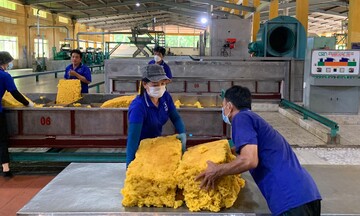 Việt Nam nhập khẩu cao su tăng mạnh: Cán mốc 1,7 tỷ USD trong 7 tháng