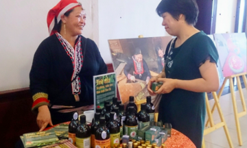 Người dân Lào Cai giảm nghèo từ cây dược liệu