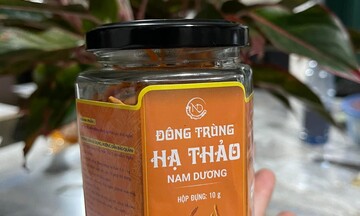 Phú Thọ: Người dân tộc miền núi làm giàu từ nấm đông trùng