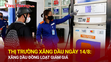 Thị trường xăng dầu ngày 14/8: Xăng dầu đồng loạt giảm giá
