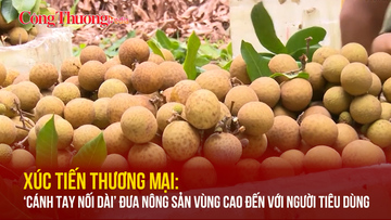 Xúc tiến thương mại: ‘Cánh tay nối dài’ đưa nông sản vùng cao đến với người tiêu dùng