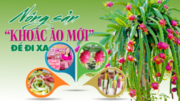 Longform | Nông sản 'khoác áo mới' để đi xa