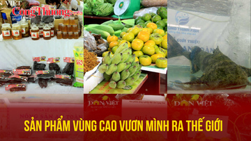 Sản phẩm vùng cao vươn mình ra thế giới