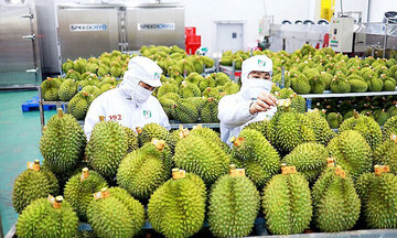 VIS 2025: Nông sản Việt hút hàng trăm 'ông lớn' từ Trung Quốc