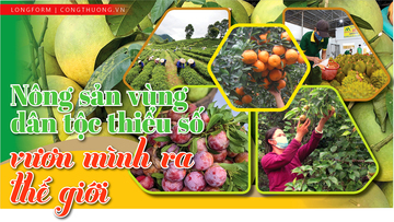 Longform | Nông sản vùng dân tộc thiểu số vươn mình ra thế giới