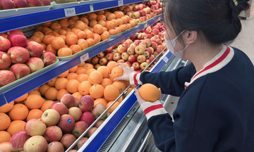 Saigon Co.op nhập khẩu trực tiếp hơn 25 tấn cam tươi từ Úc