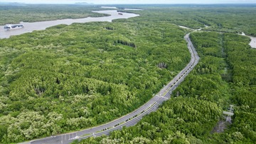 Quy định mới nhất về tạm sử dụng rừng để thi công các dự án cấp thiết