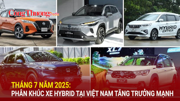 Tháng 7/2025: Phân khúc xe hybrid tại Việt Nam tăng trưởng mạnh
